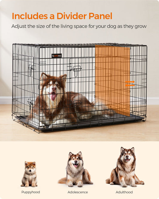 Cage pour Chien, avec 2 Portes, Cage Chien XXL, Cage Chien Métallique à 2 portes, Plateau en plastique amovible, Noir, Feandrea, 2