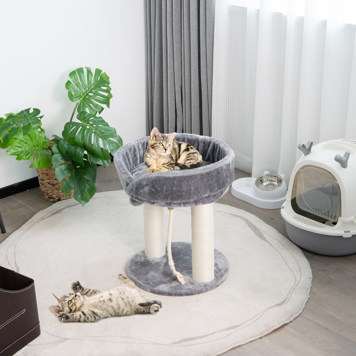 Arbre à Chat, Griffoir Chat, 2 Plateformes avec Perchoir à Dessus Souple Boule de Fourrure Corde en Sisal, Costway, 4