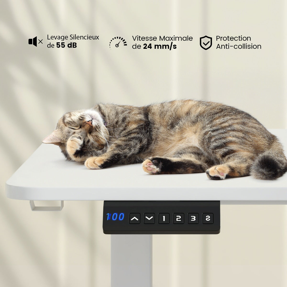Bureau Electrique, Bureau Assis Debout Electrique, Bureau Assis Debout, 3 Hauteurs de Mémoire, Bureau Ordinateur, Costway, 7