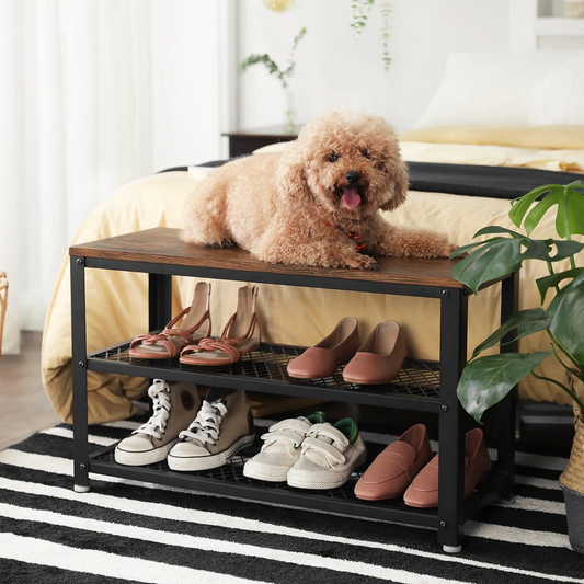 Banc à Chaussures, Étagère de Rangement à 2 Niveaux, Organisateur, à Chaussures, Cadre en Acier, VASAGLE, 1