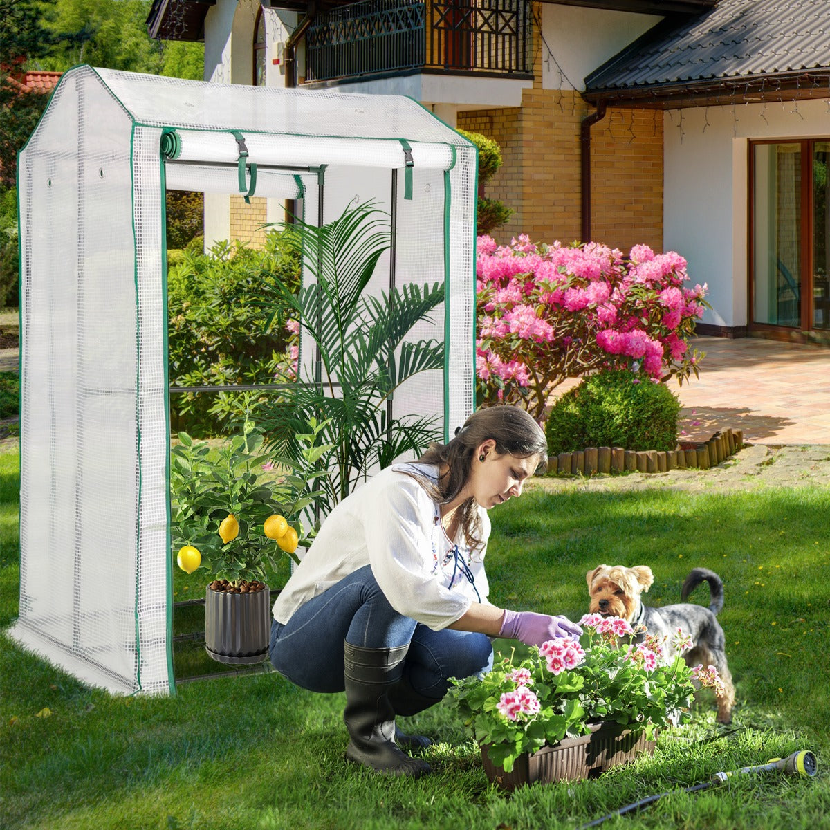 Serre de Jardin, Serre portable avec structure en acier, pour Balcon Intérieur & Extérieur, 100x81x150 cm, Blanc, Costway, 4